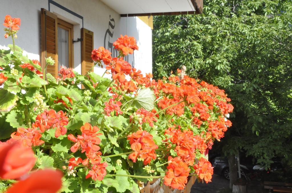 Garni Kofler Hotel Tirolo Room photo